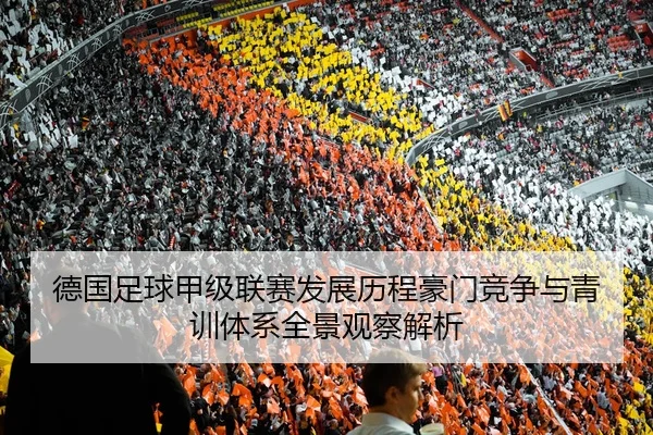 德国足球甲级联赛发展历程豪门竞争与青训体系全景观察解析